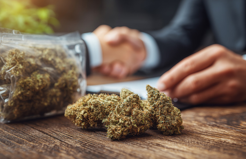 Cannabis Prohibited Locations Minnesota