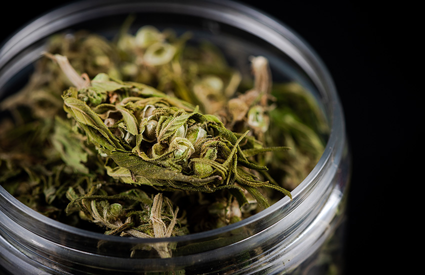 Cannabis Flower at New Brighton Dispensary