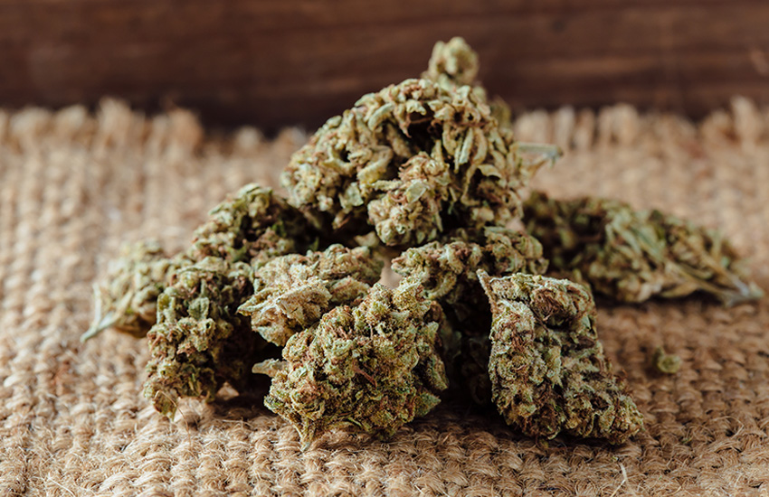 Premium Cannabis Flower