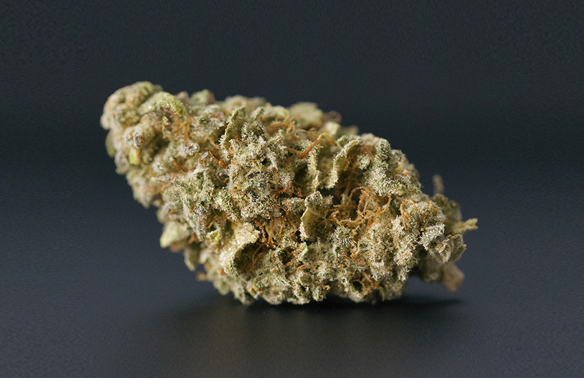 Premium Cannabis Flower