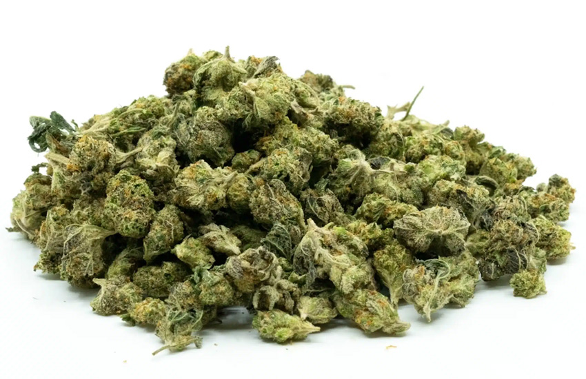 Popcorn Cannabis Buds