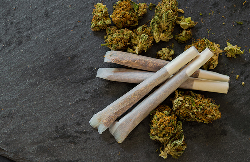 Premium Pre-Rolls at New Brighton Dispensary